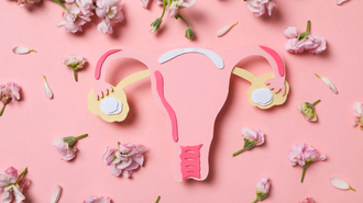 A paper craft illustration of the female reproductive system, including the uterus, fallopian tubes and ovaries, surrounded by small pink flowers on a pink background, representing women's health and the vaginal microbiome.