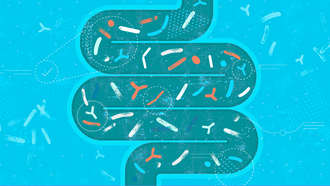Illustrated diagram of the human gut (intestines) shown as a winding tube filled with various microorganisms.