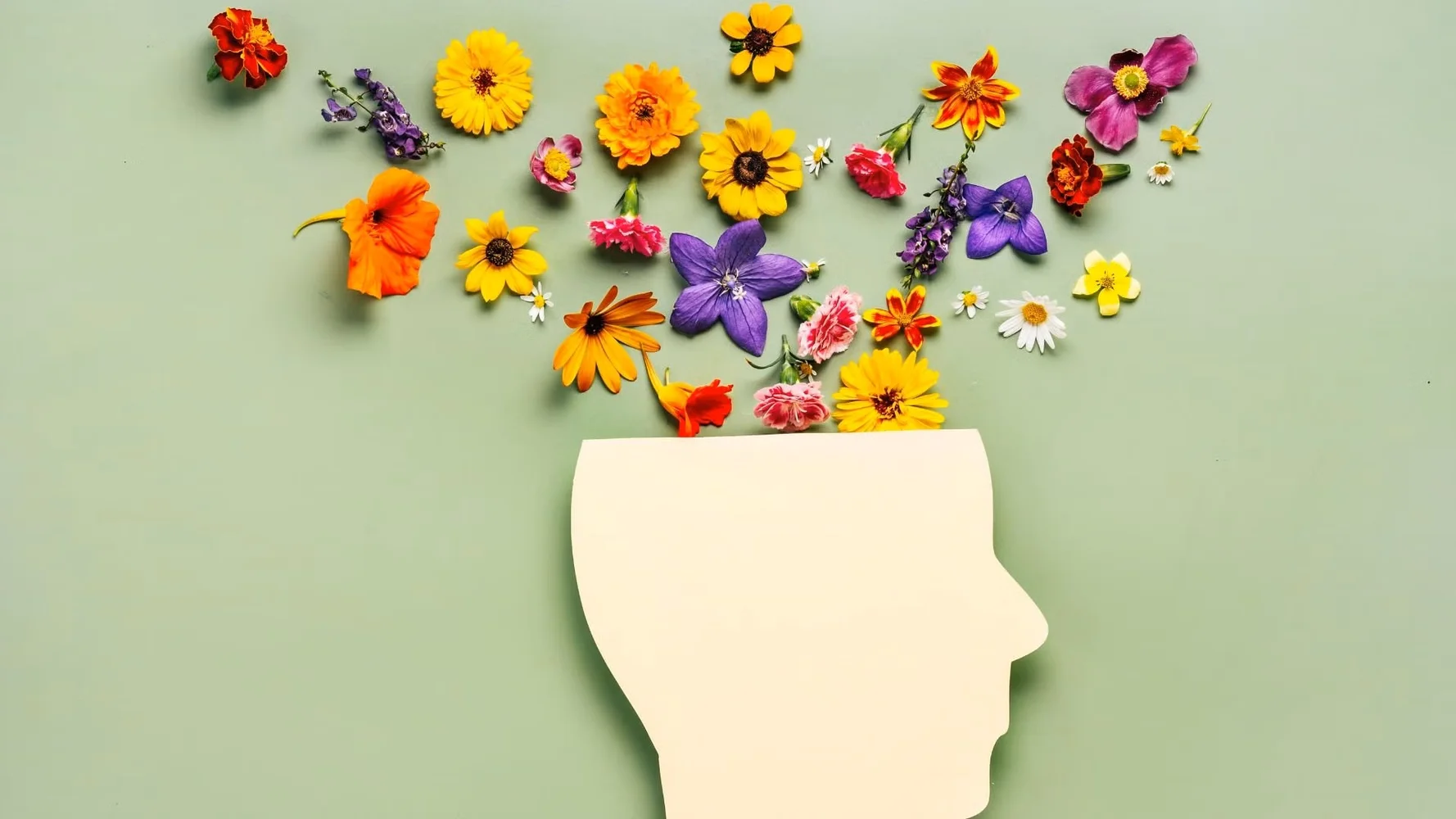 Wooden head silhouette with colourful flowers emerging from the top, illustrating the gut-brain axis and the connection between gut health and mental wellbeing